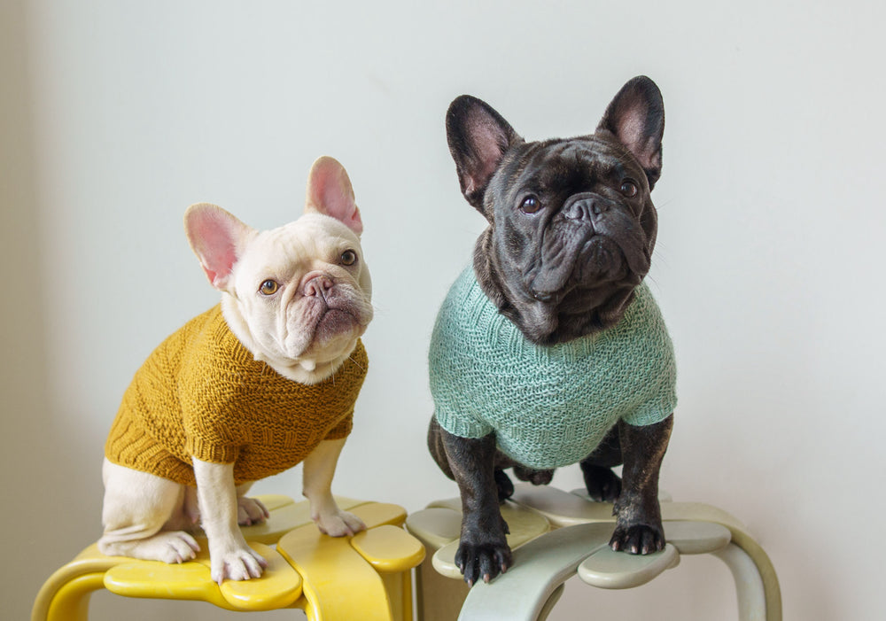 Dustland Dog Sweater