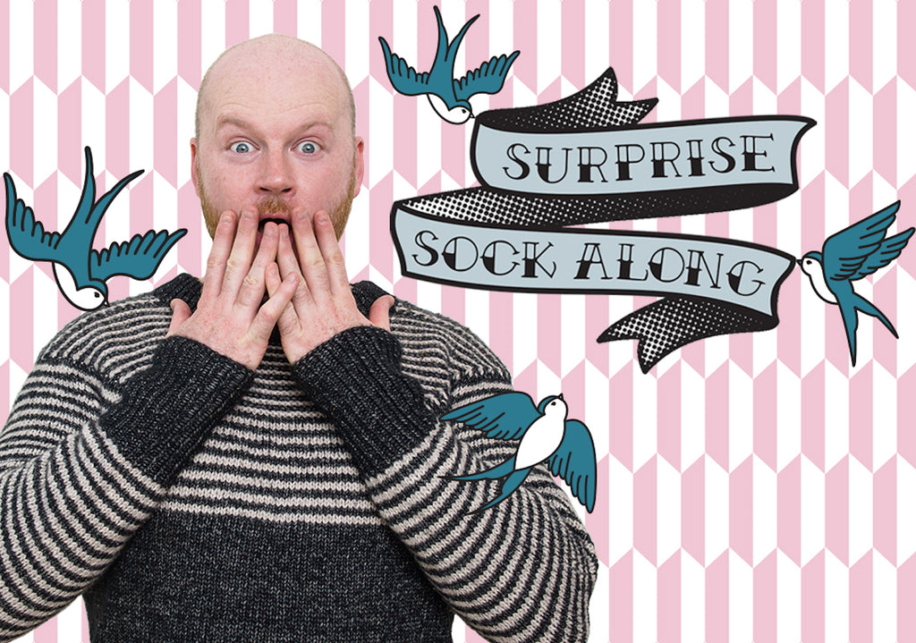 Surprise Sock Along