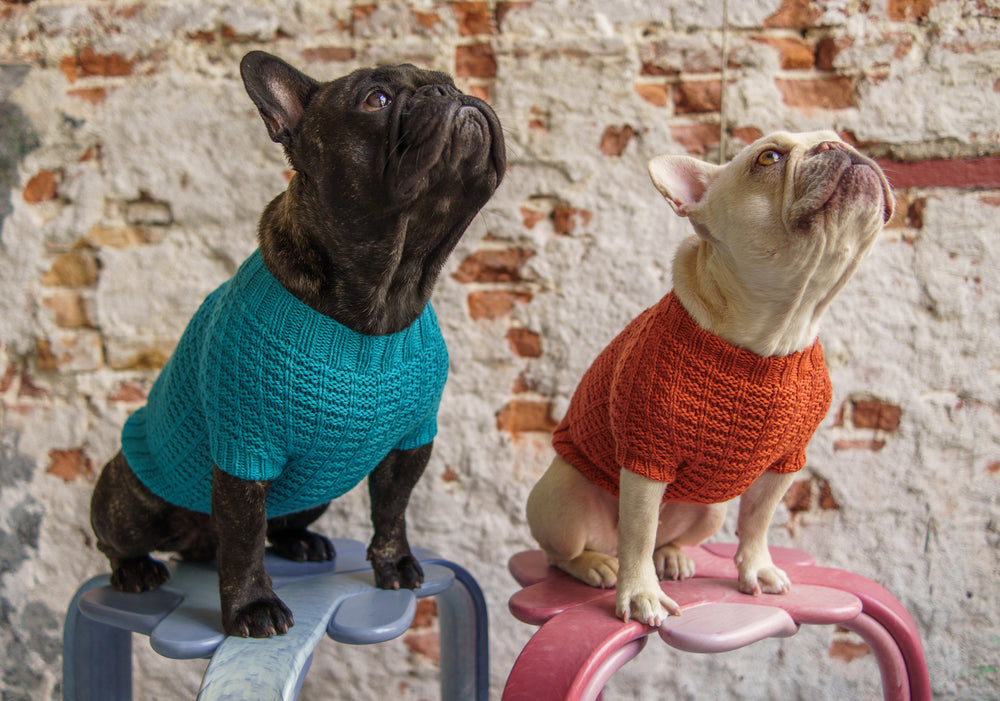 Woofy Waffle Sweater