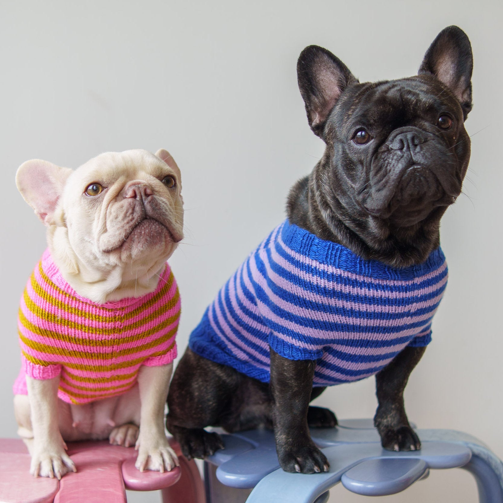 DOG SWEATERS