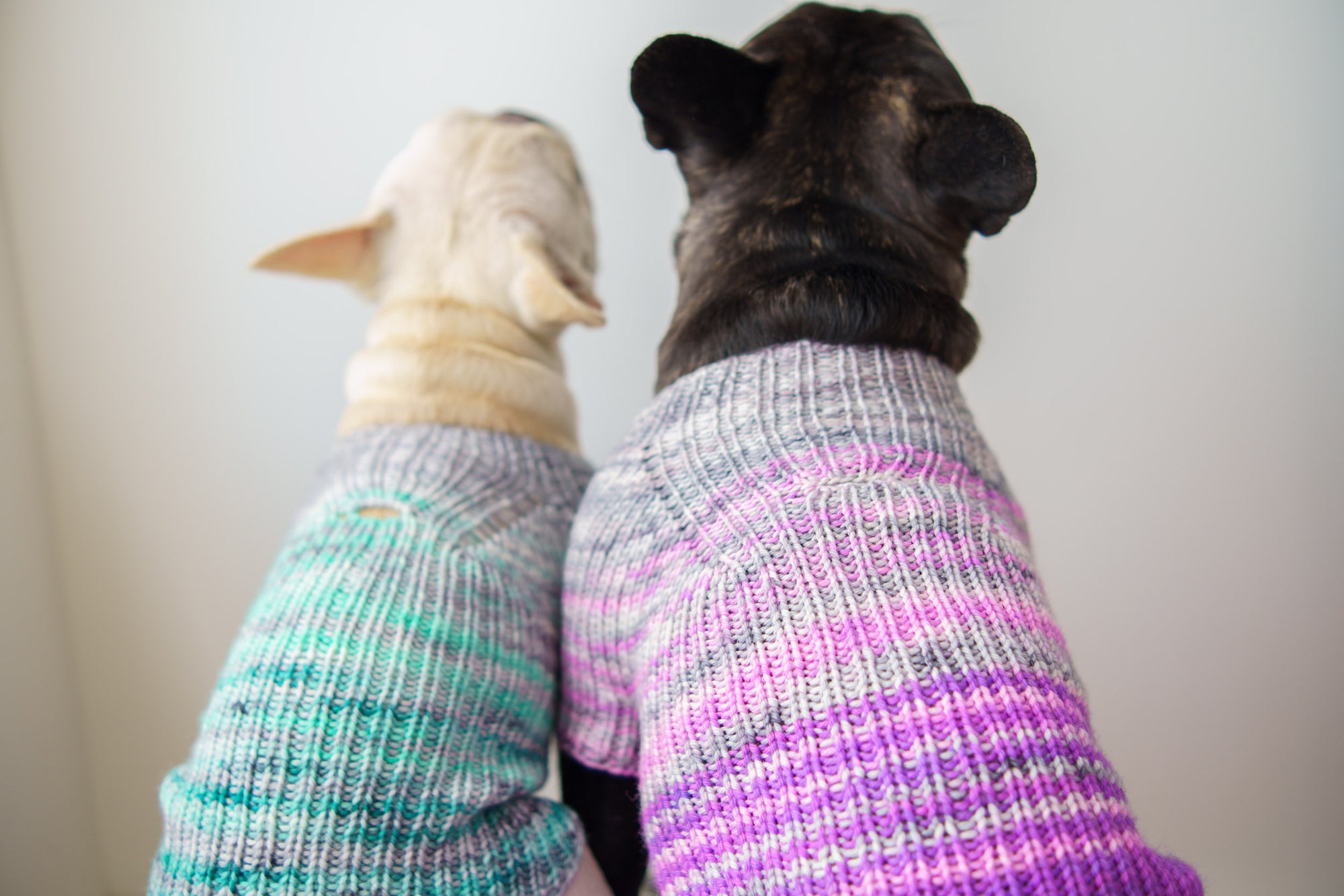 Faded Rib Pup Sweater