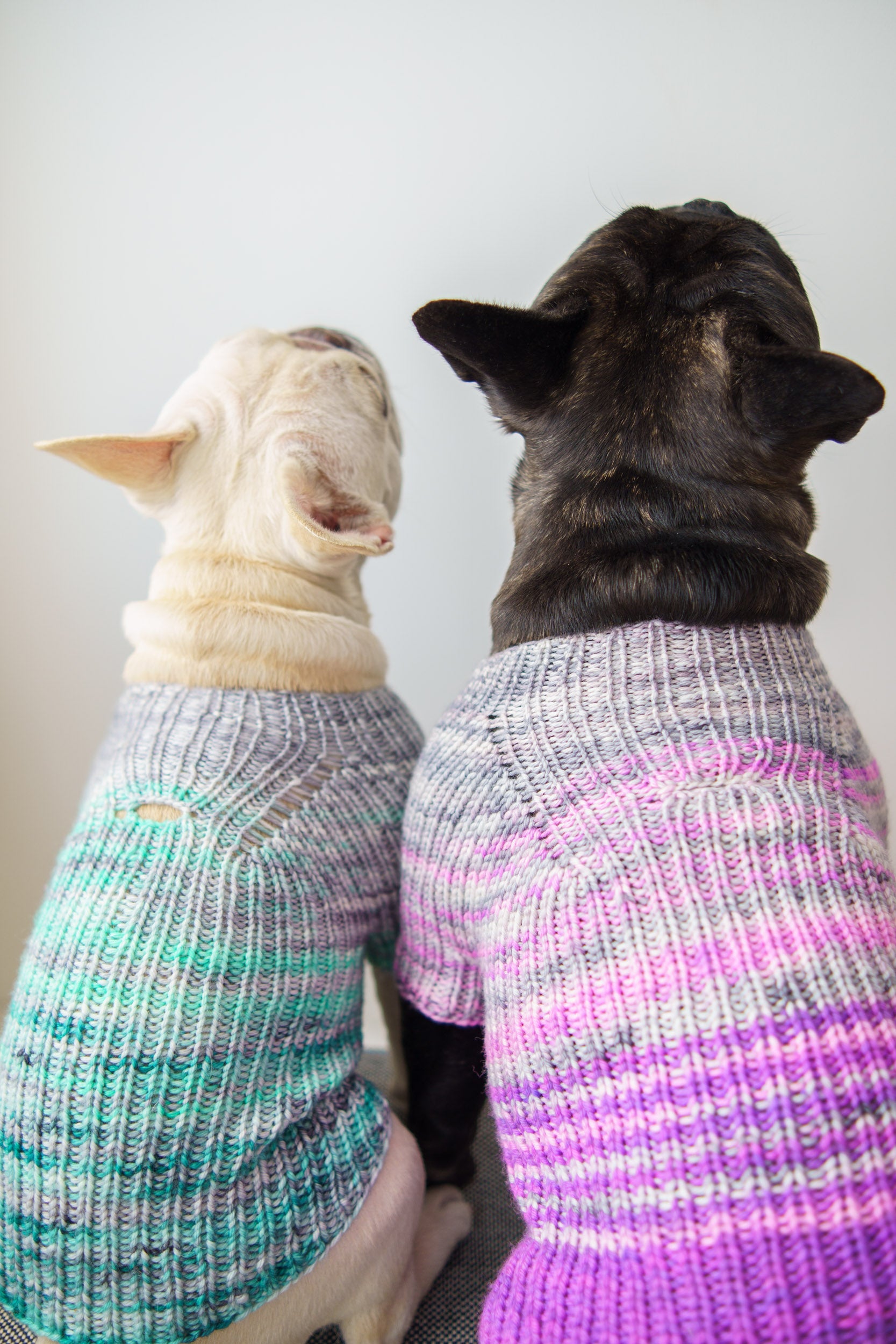 Faded Rib Pup Sweater
