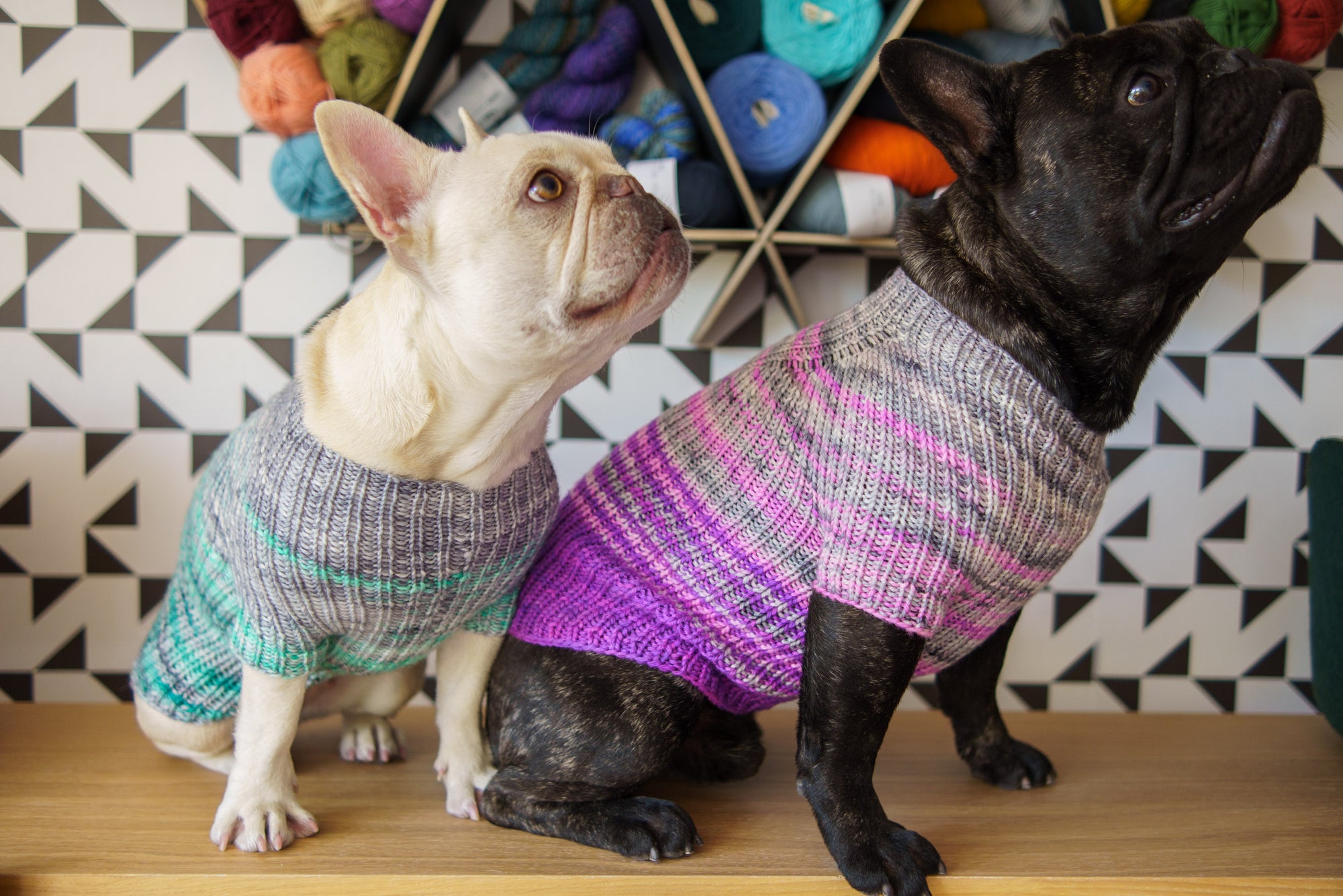 Faded Rib Pup Sweater