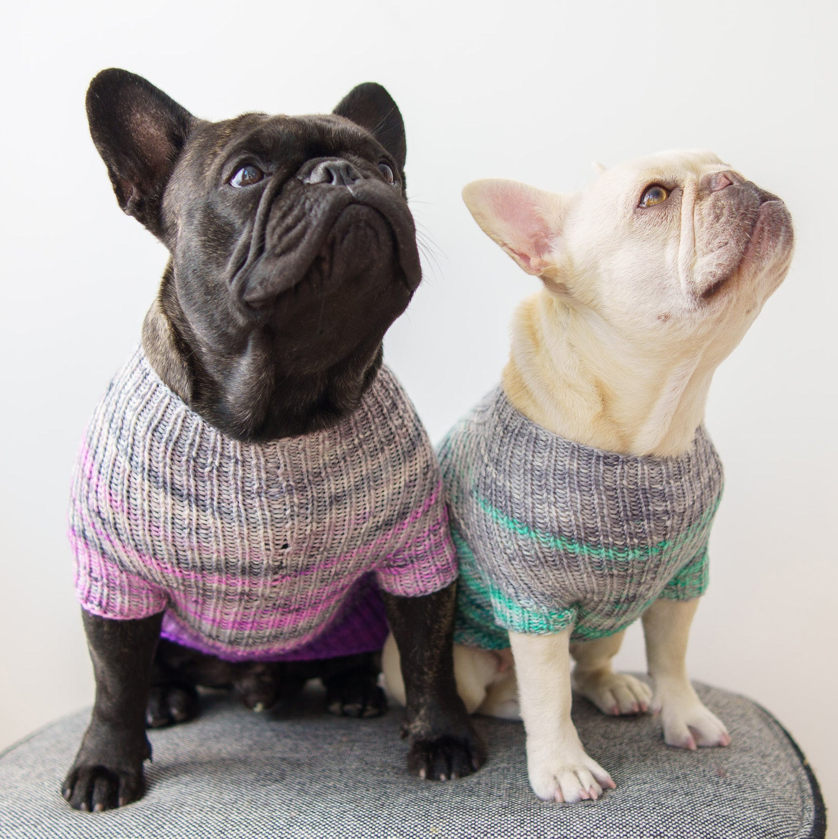 Faded Rib Pup Sweater