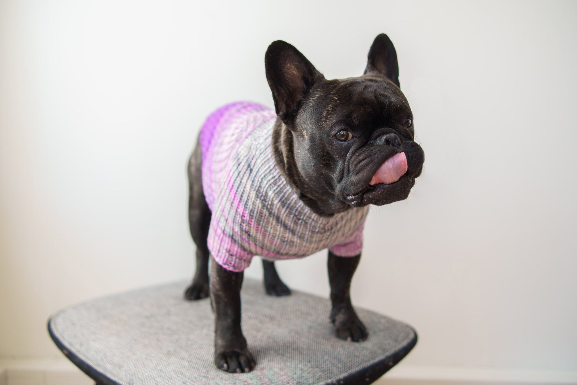 Faded Rib Pup Sweater
