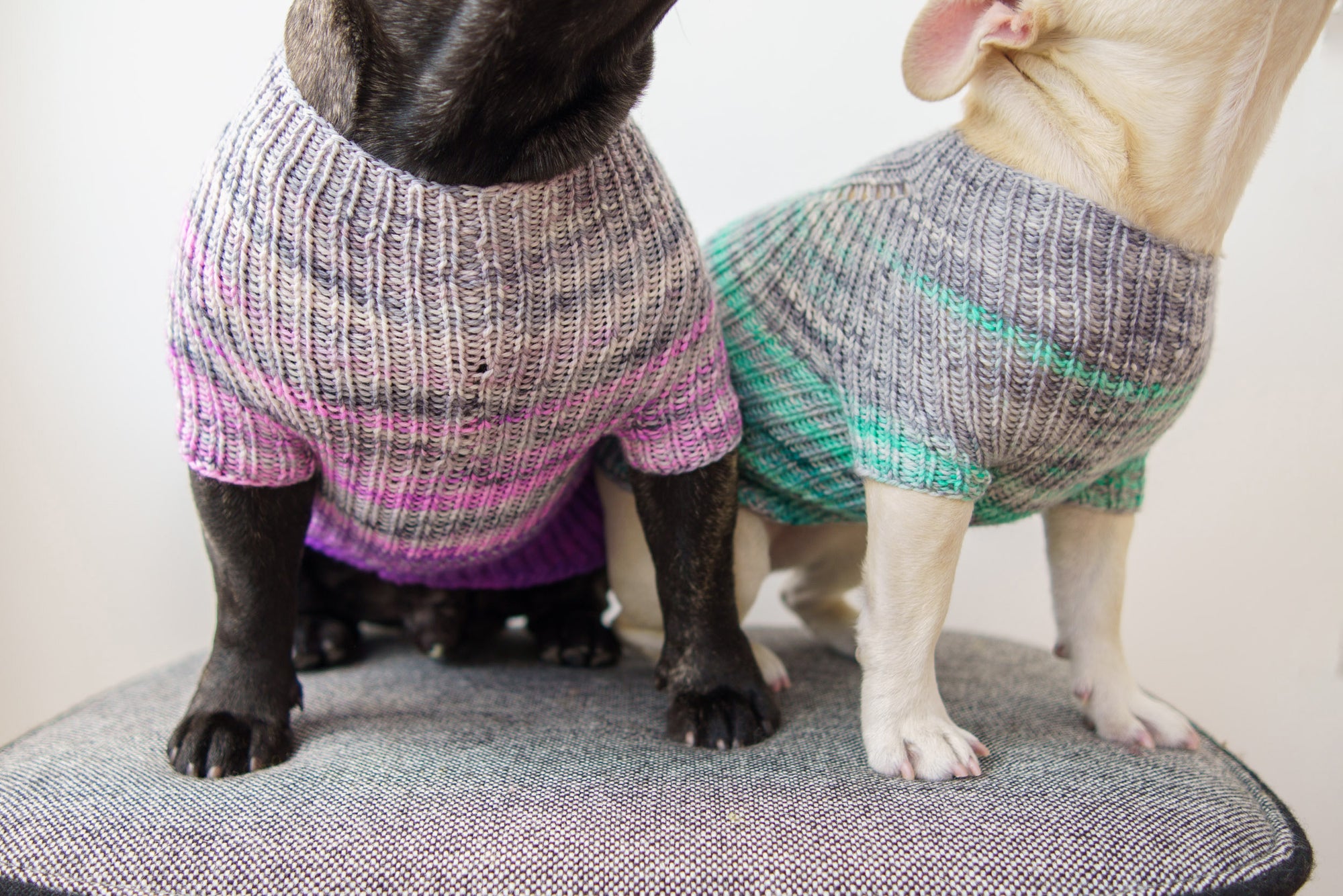 Faded Rib Pup Sweater