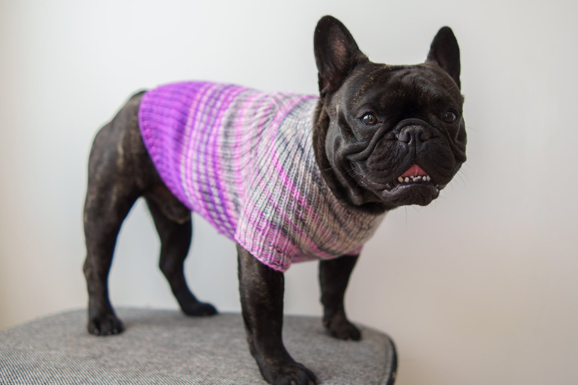 Faded Rib Pup Sweater