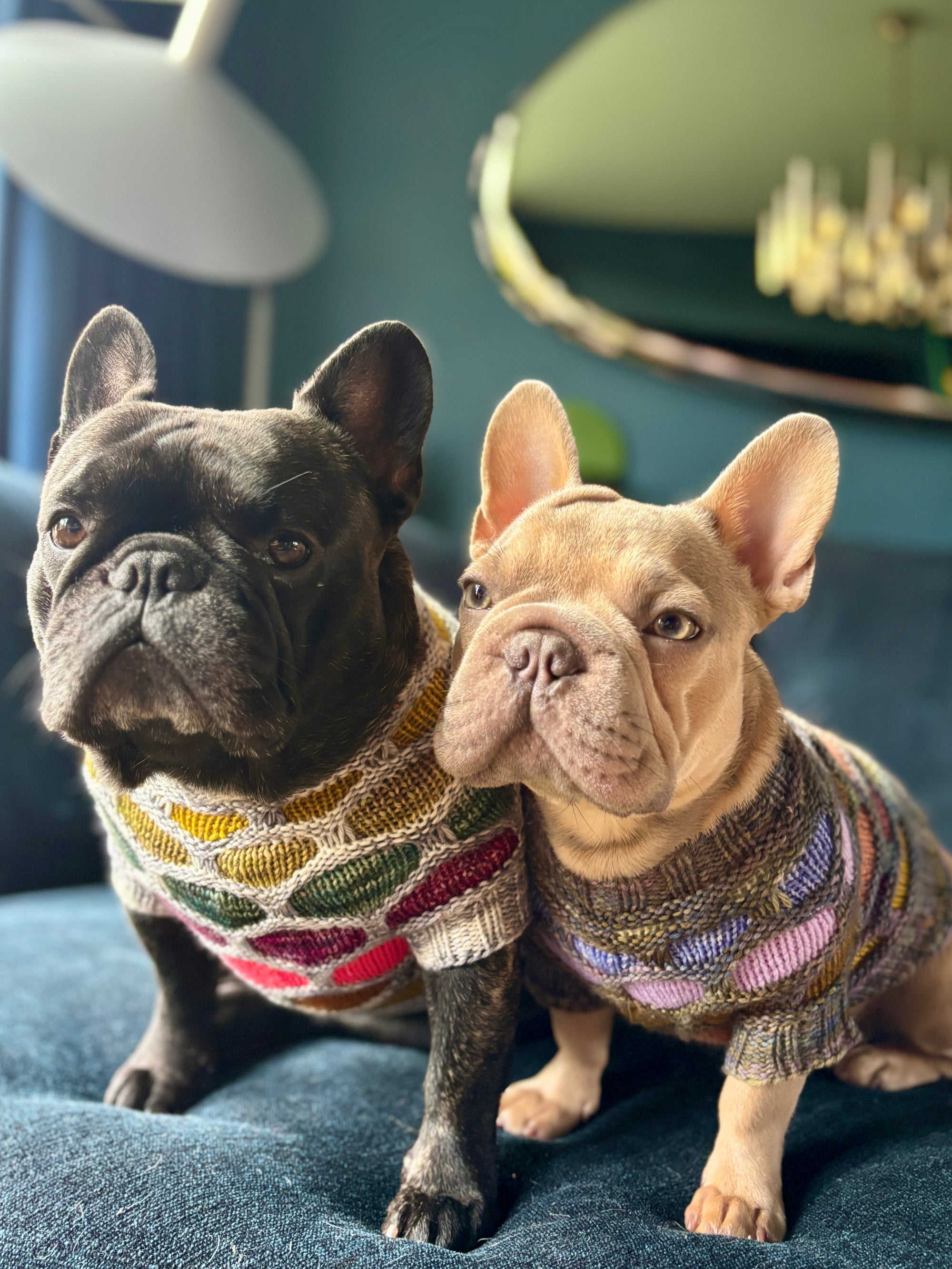 Honey Hound Sweater