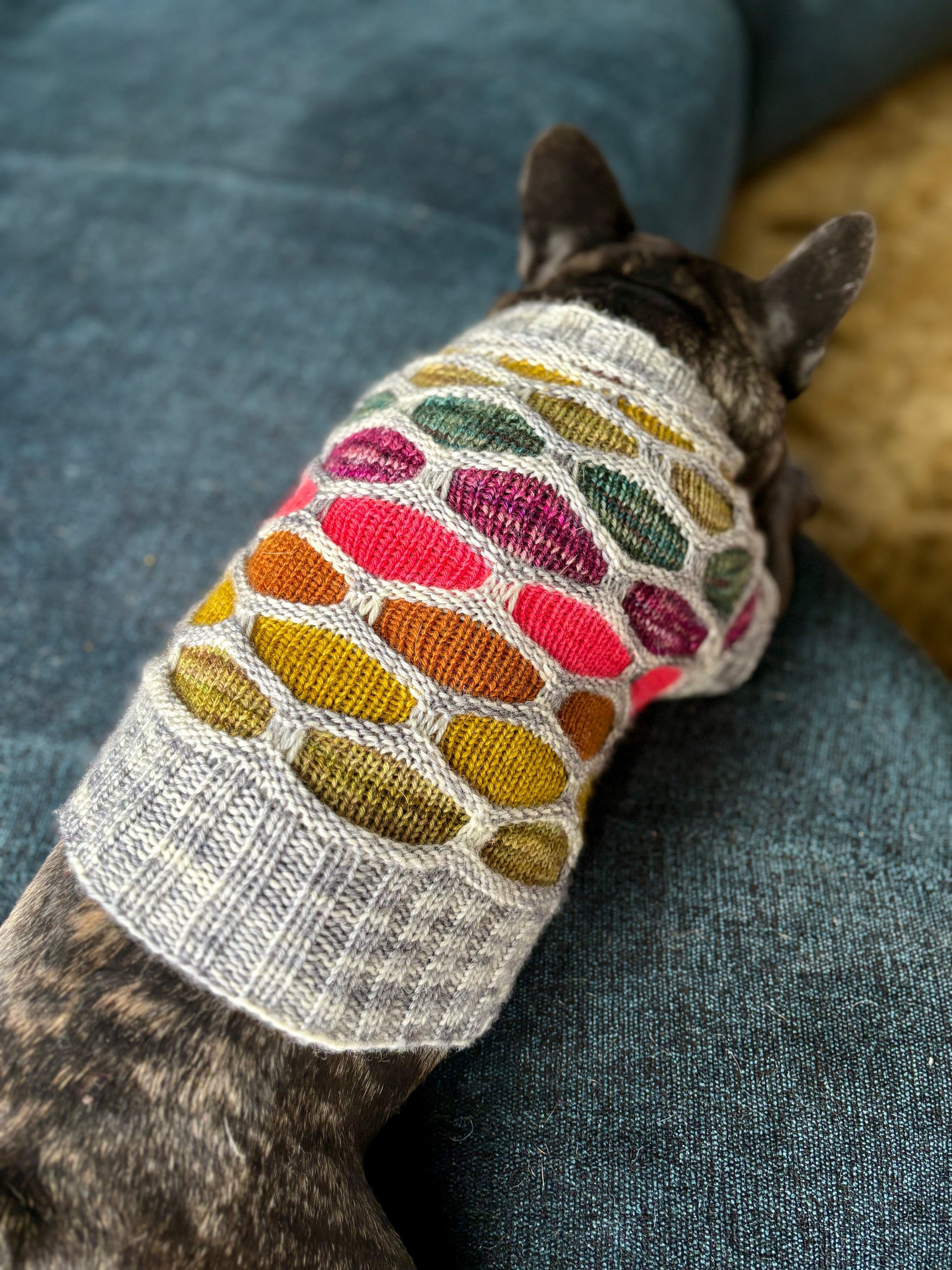 Honey Hound Sweater