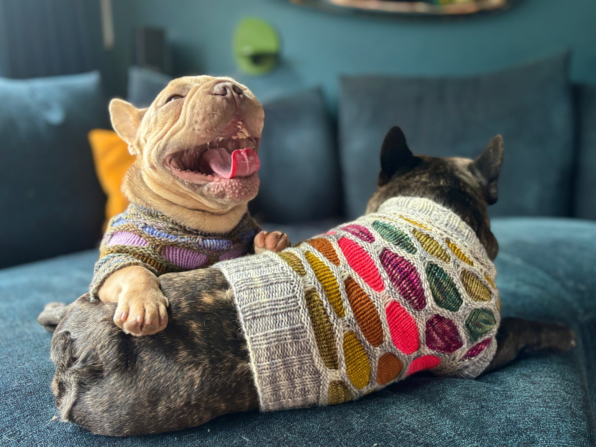 Honey Hound Sweater