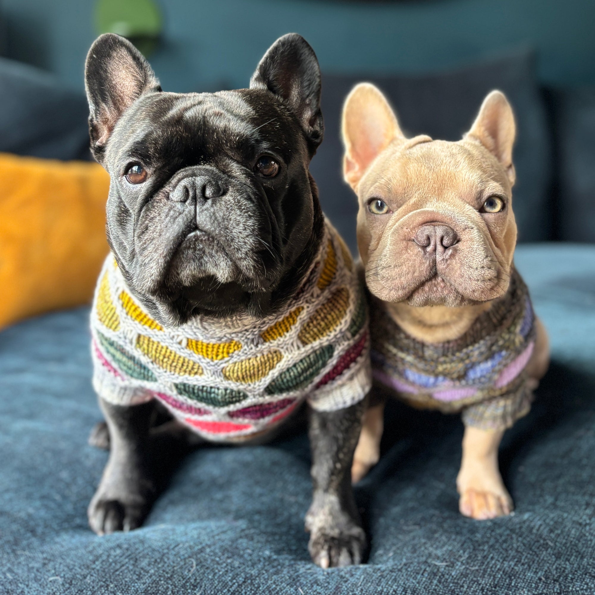 Honey Hound Sweater