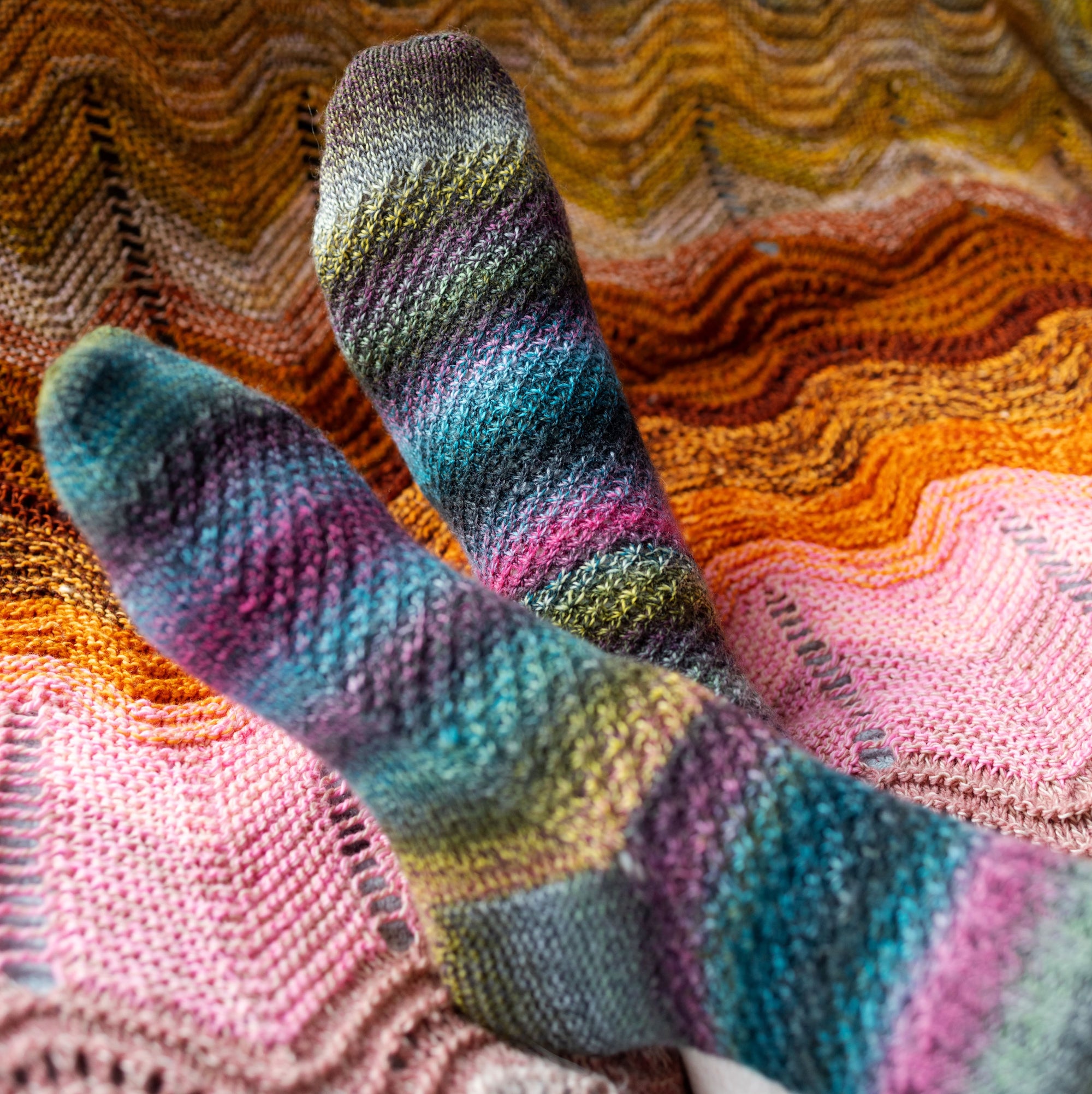 Lazy Daisy Socks