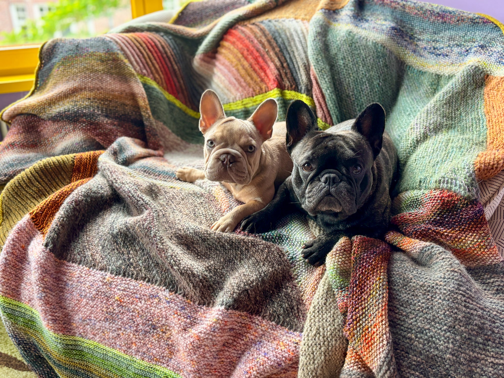 Marled Magic Blanket