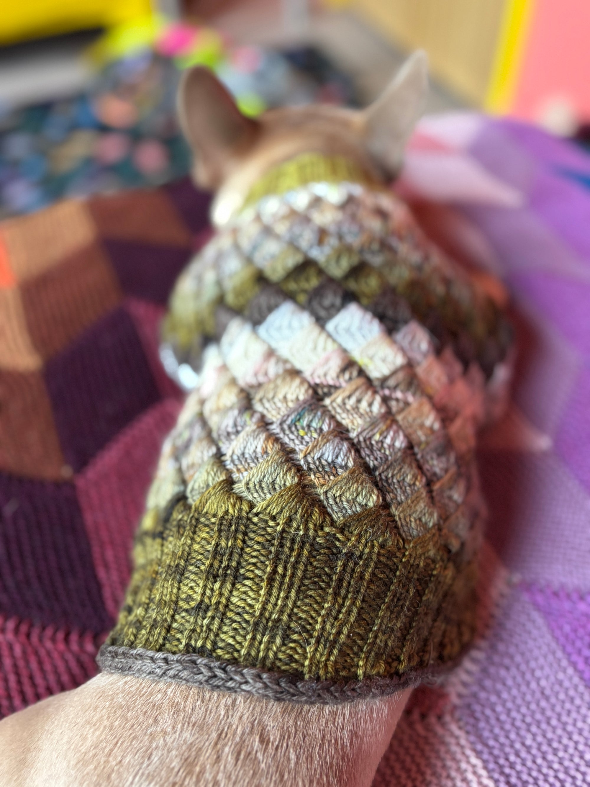 Merdog Sweater