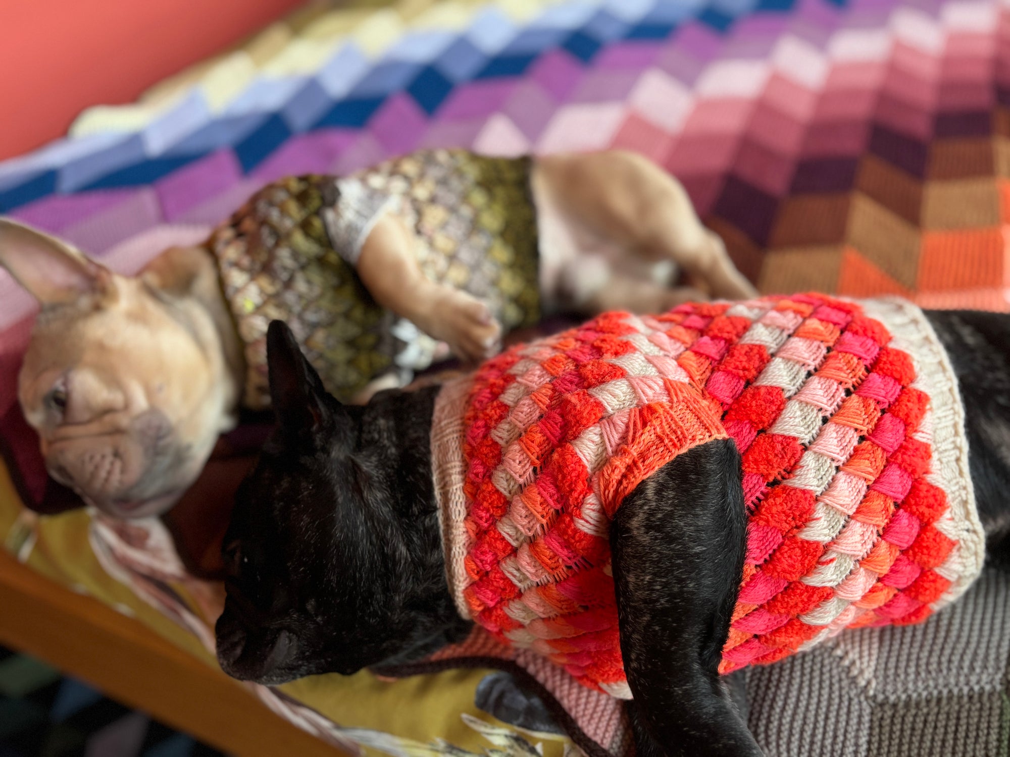 Merdog Sweater