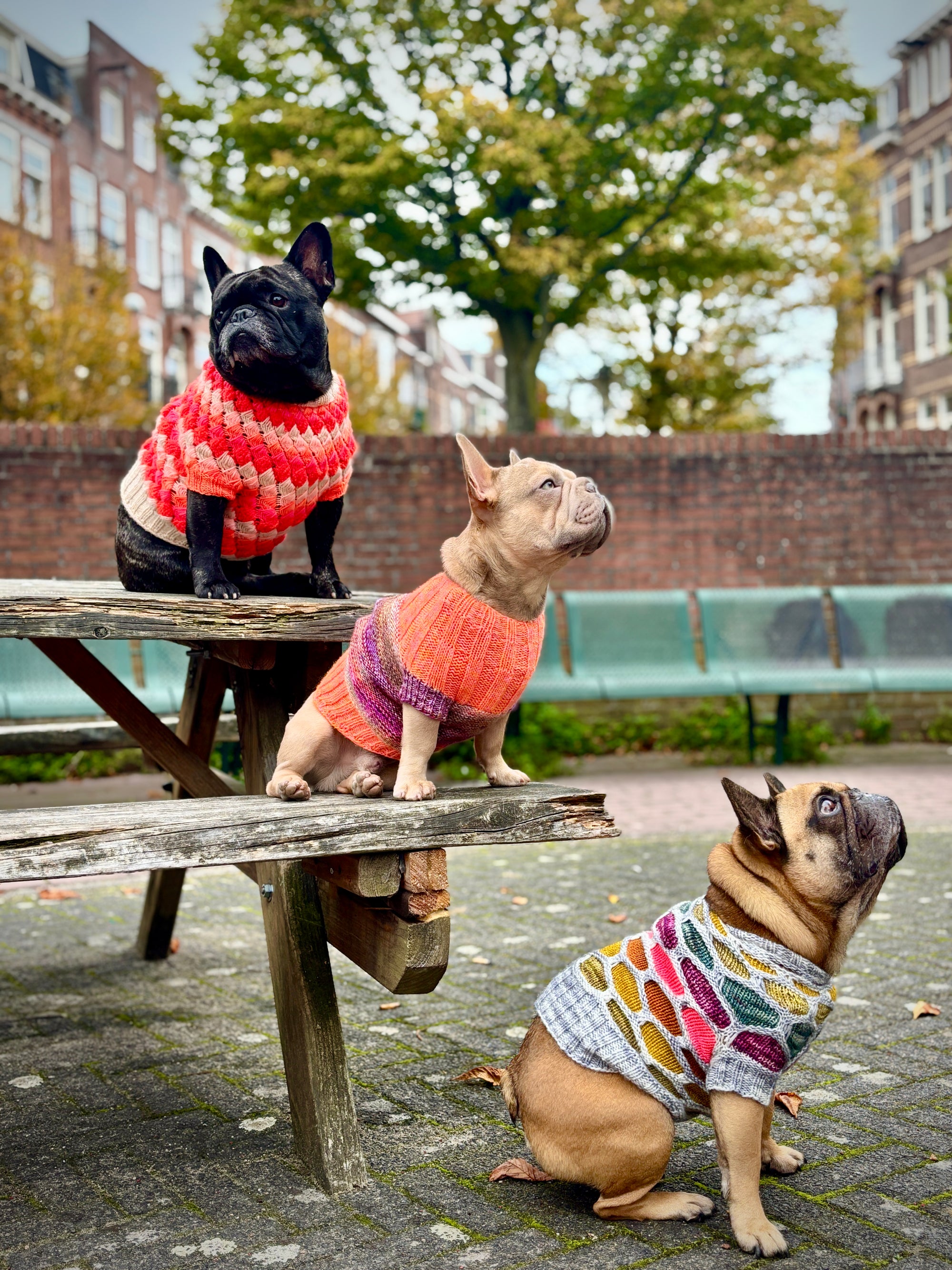 Merdog Sweater