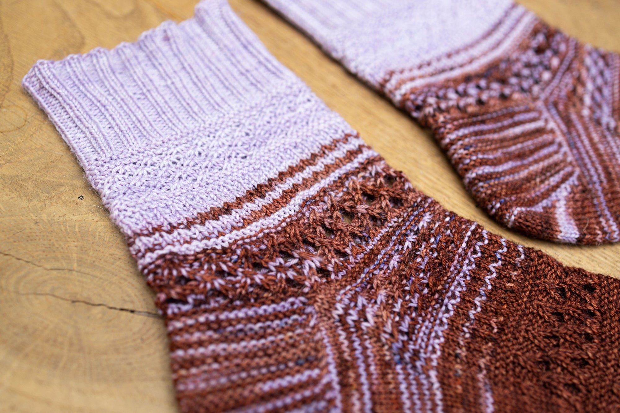 Mingling Daisies Socks