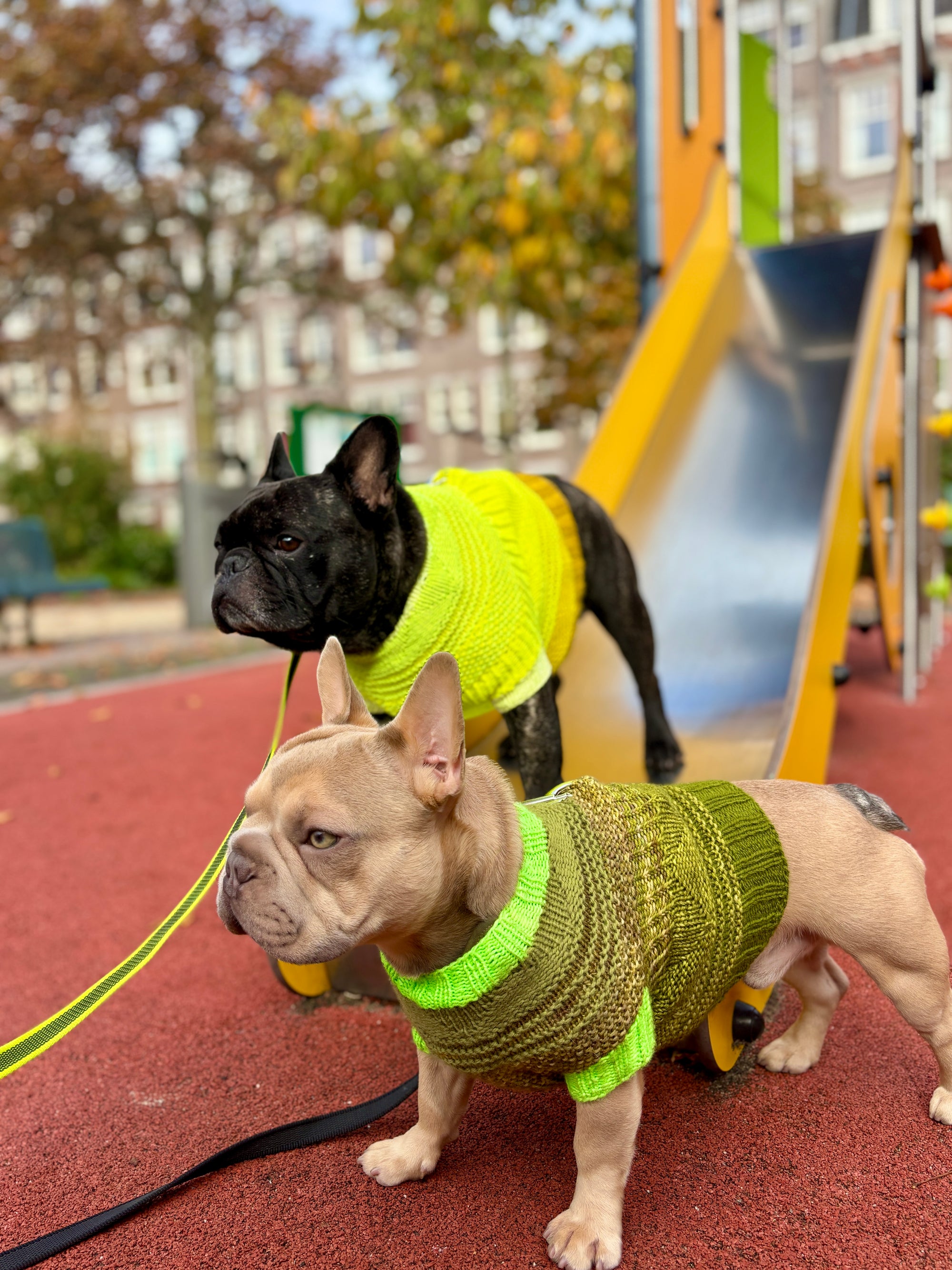 Pierre Pup Sweater