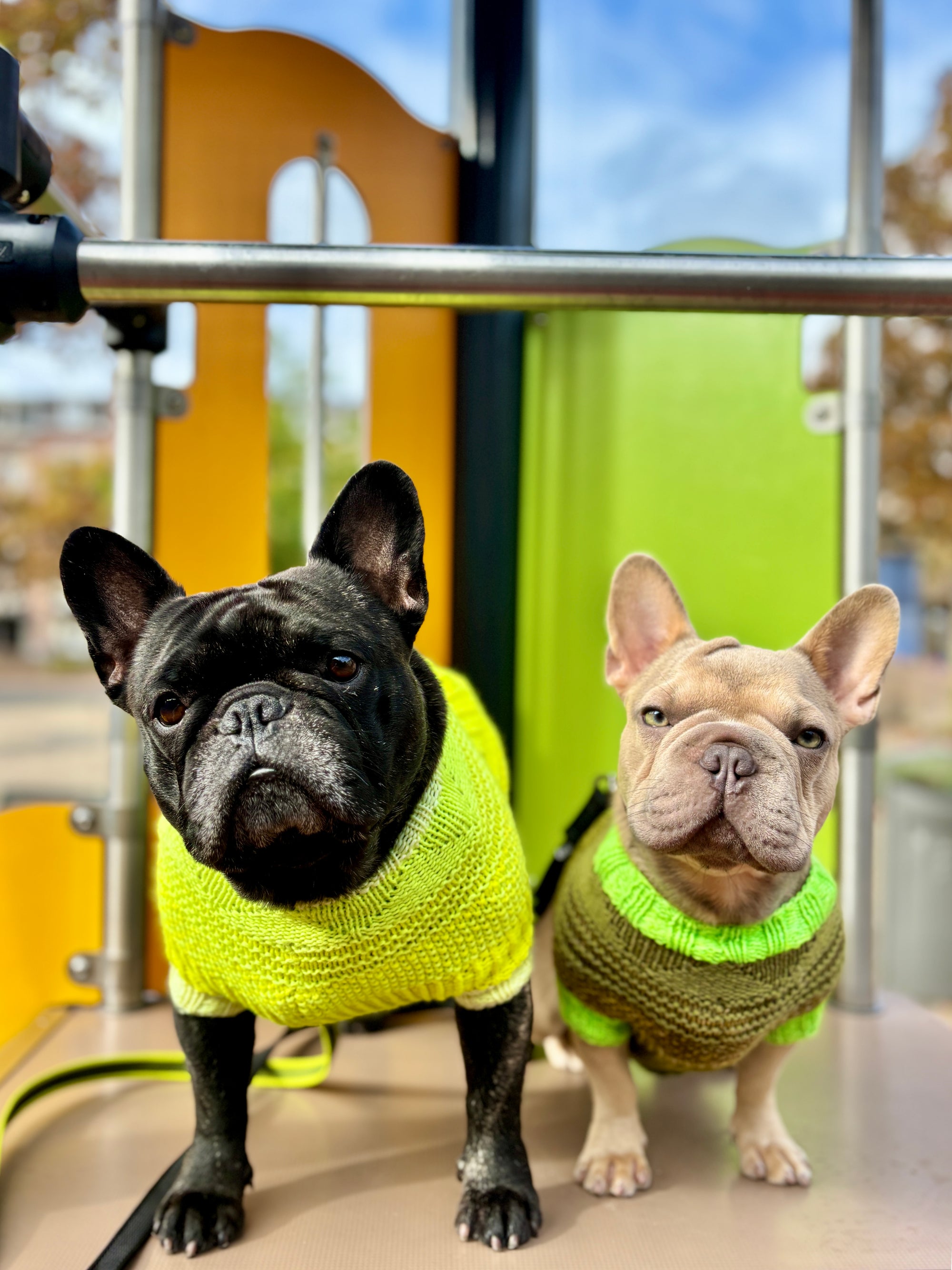 Pierre Pup Sweater