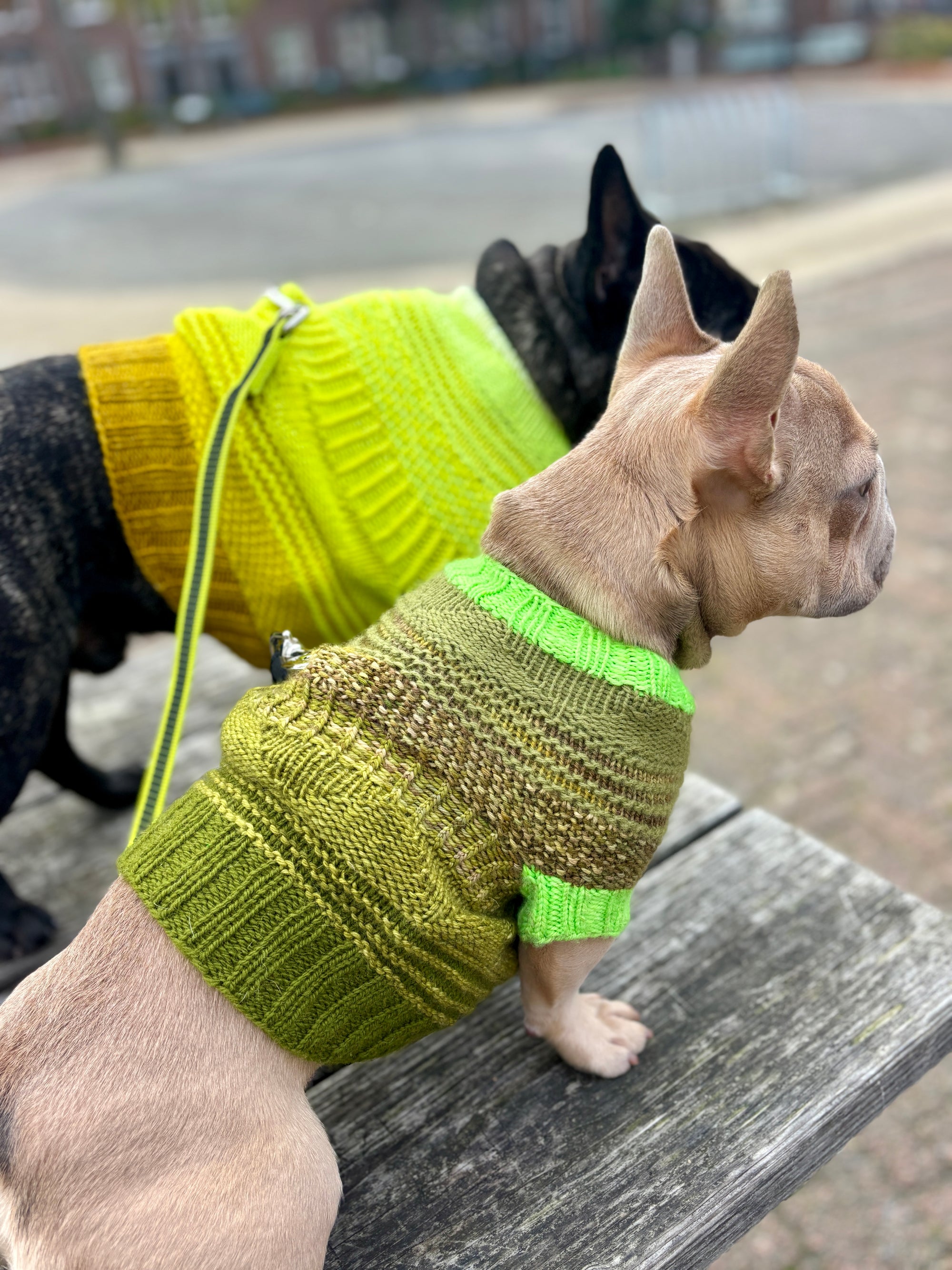 Pierre Pup Sweater