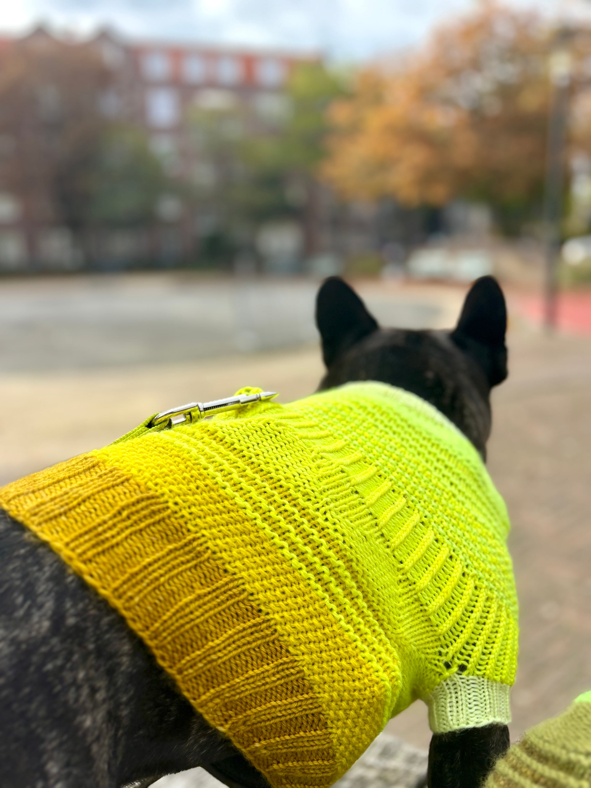 Pierre Pup Sweater
