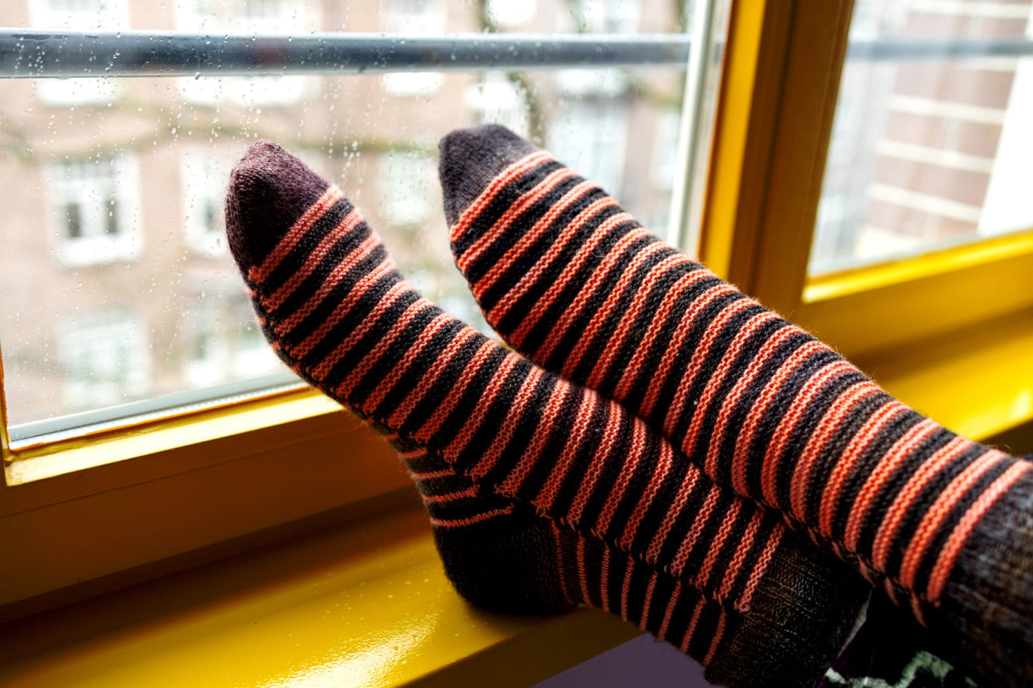 Stripestep Socks