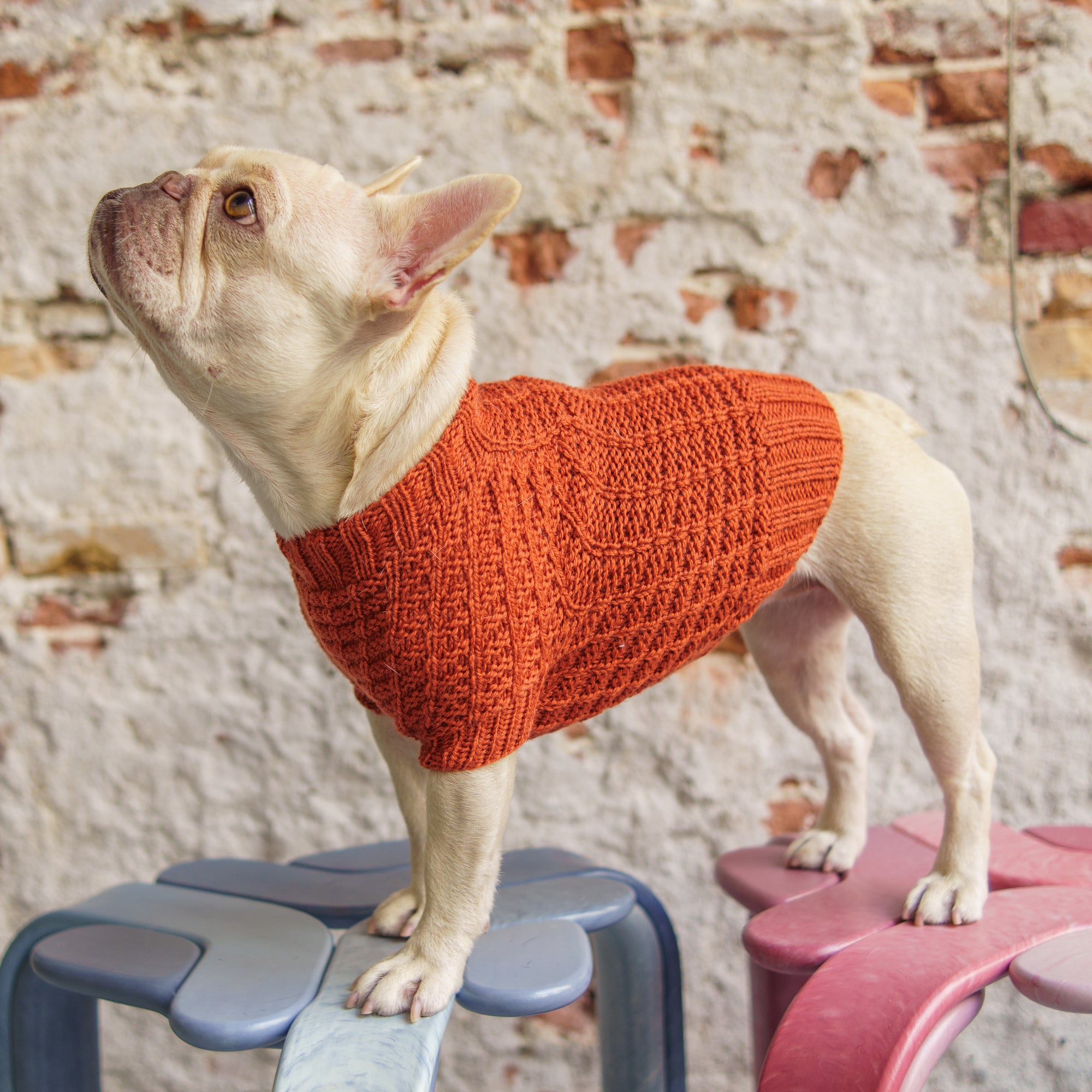 Woofy Waffle Sweater