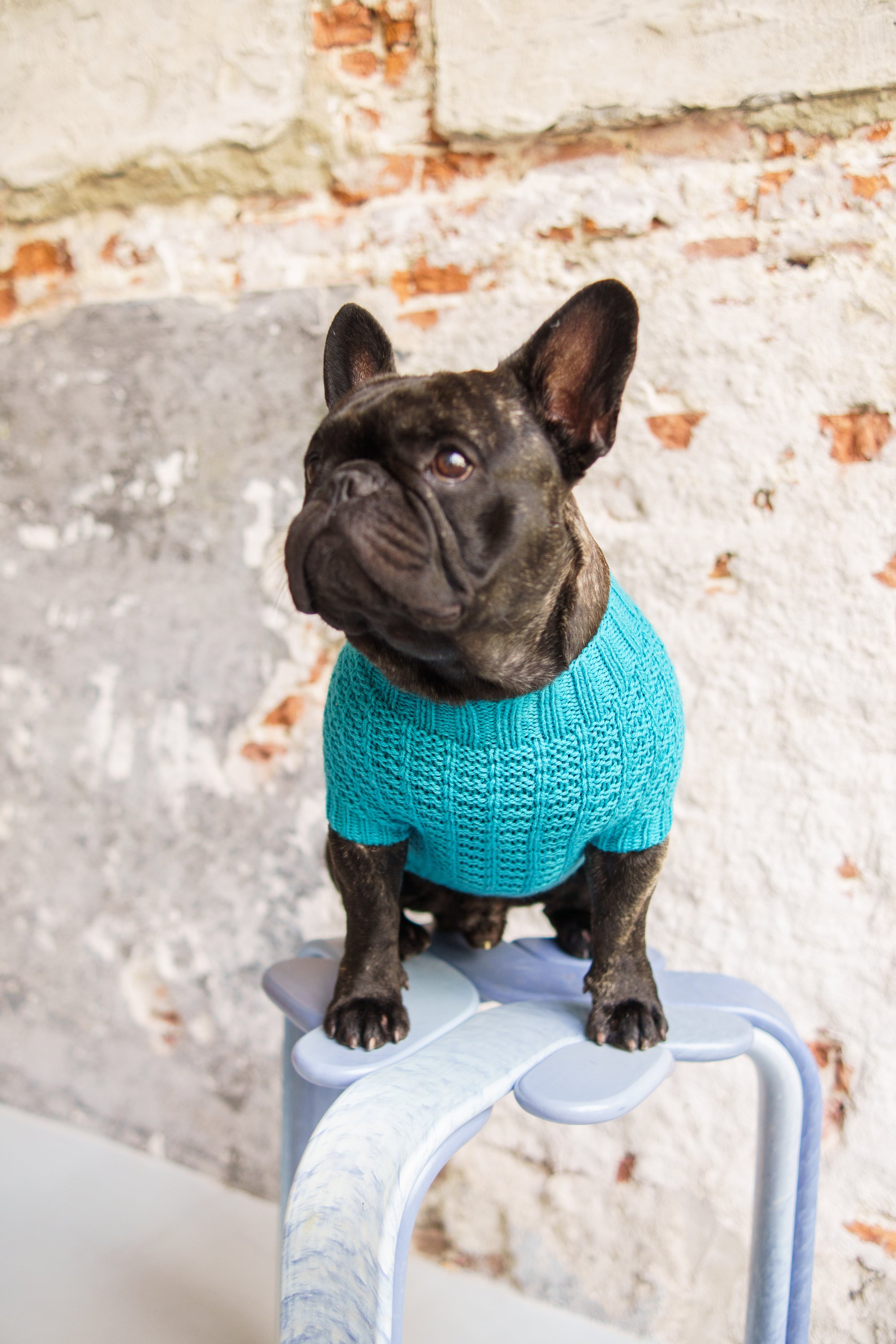 Woofy Waffle Sweater