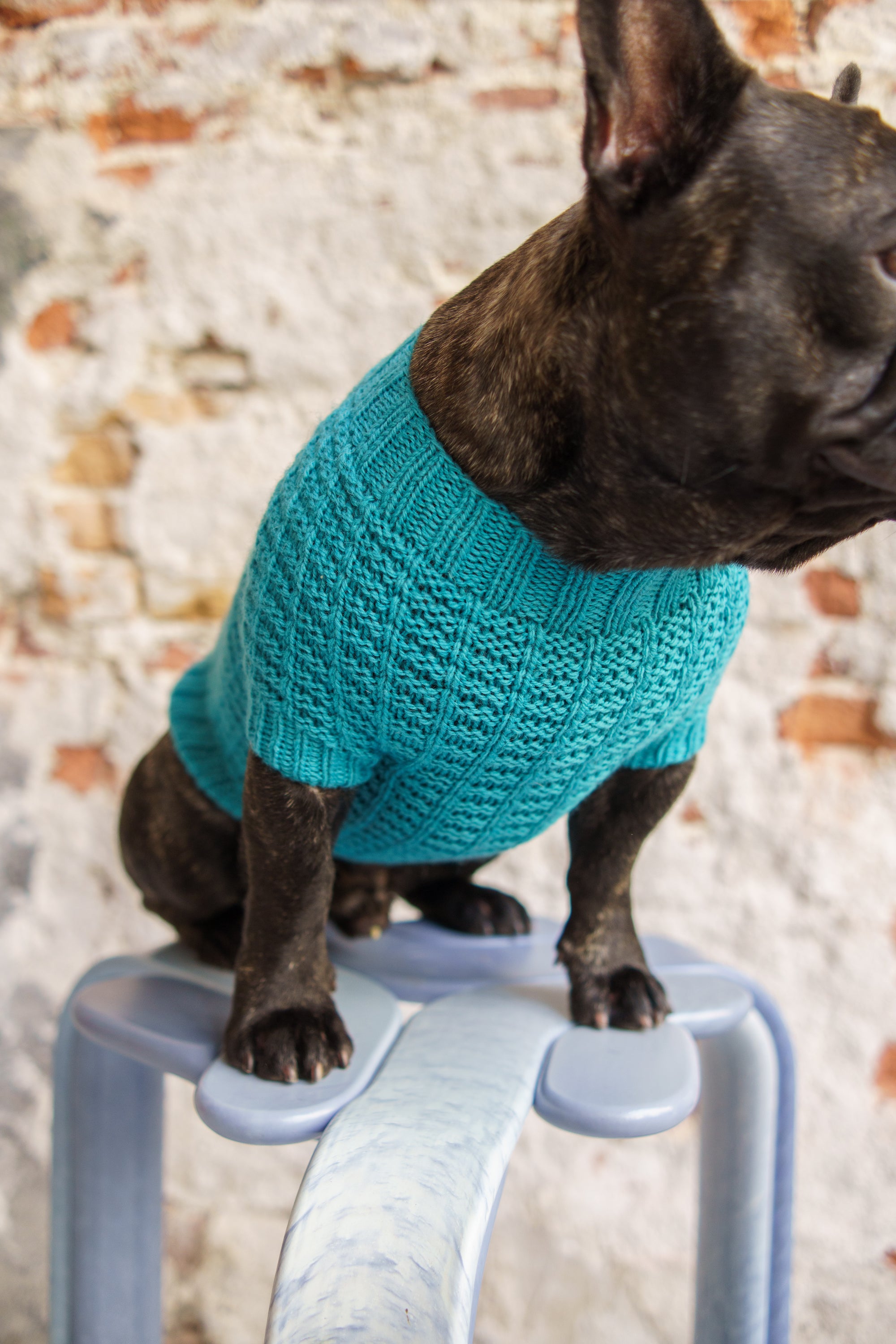 Woofy Waffle Sweater