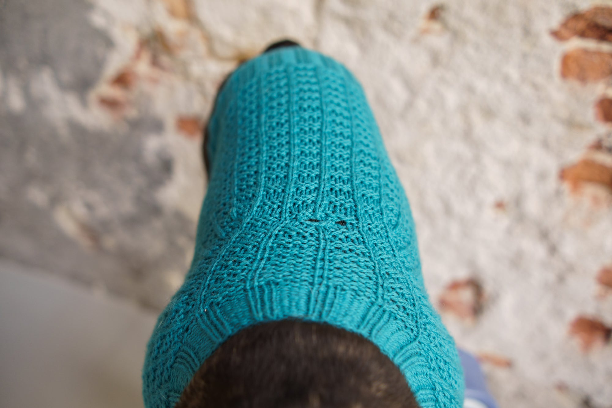 Woofy Waffle Sweater