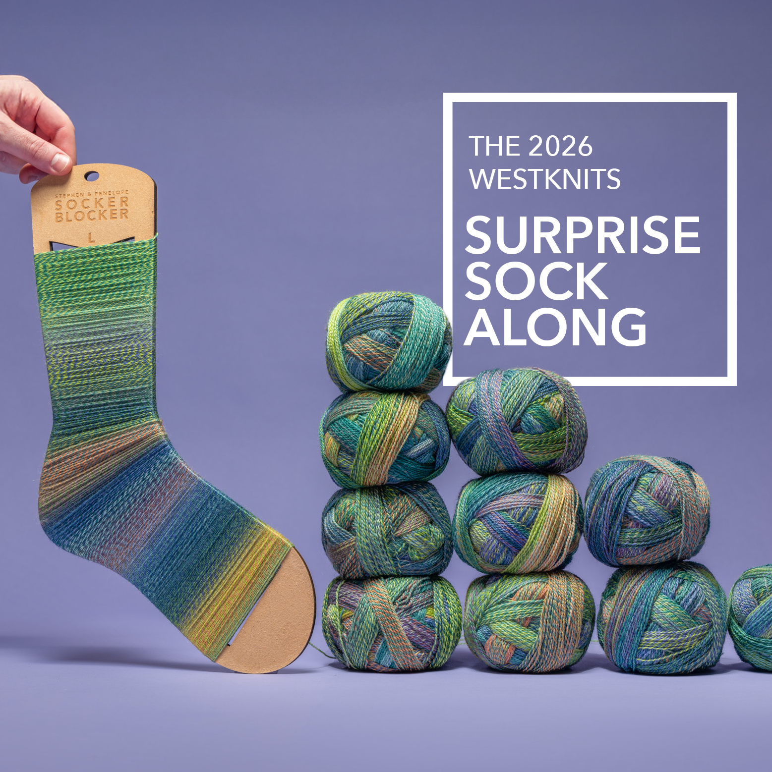 SSAL 2026 - Chameleonic Socks