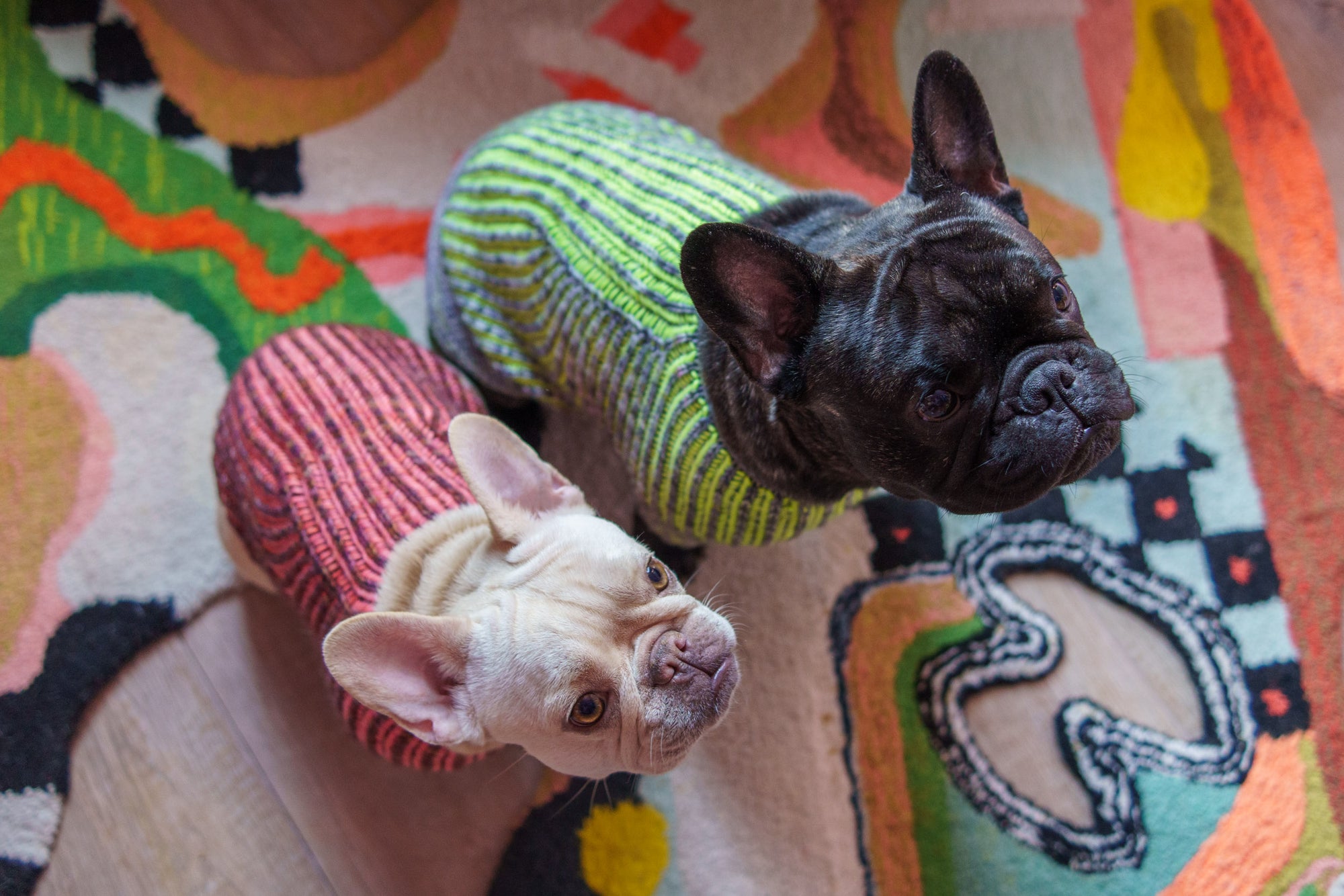 Brioche Pup Sweater