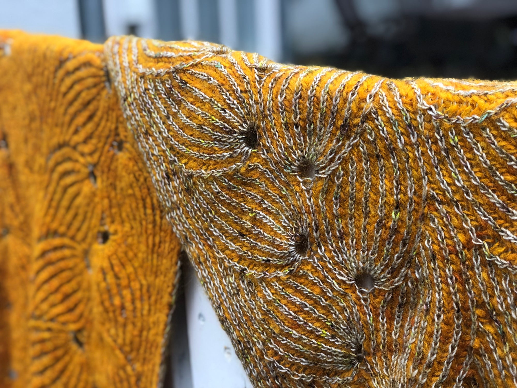 Flying Foxtail Wrap